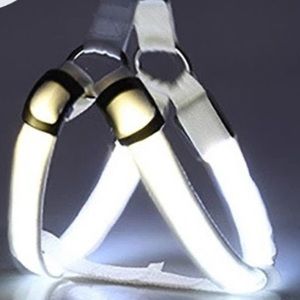 LED dog harness